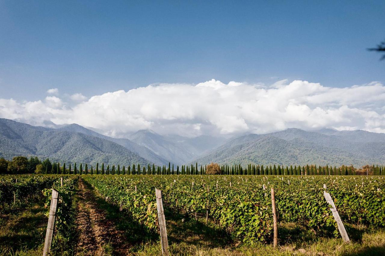 Chateau Artwine Art'ana Eksteriør billede